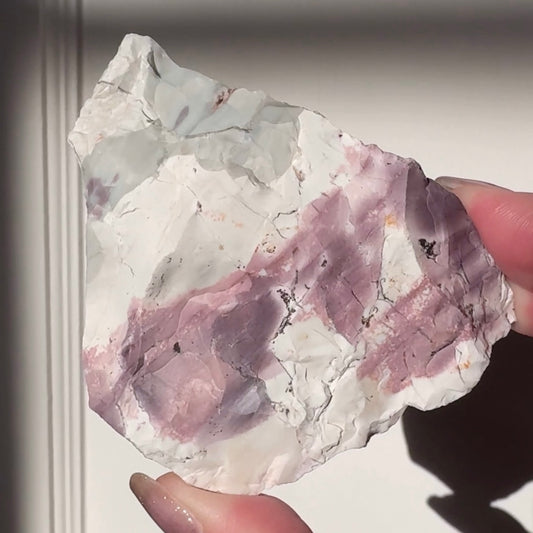 ヒヤシンス ジャスパー RAW2