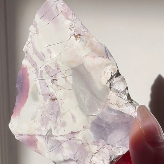 ヒヤシンス ジャスパー RAW3