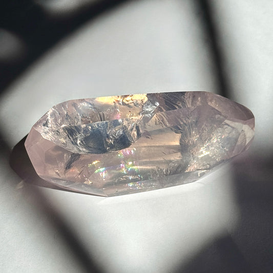 No.2-Rainbow Magical Seed 【Anniv. 5】