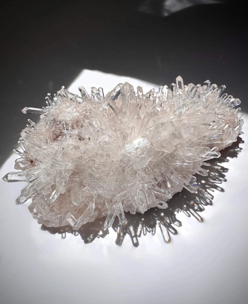 Pink Lemurian
